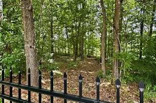 1141 Pebble Creek Ln, Locust Grove, GA 30248 - Photo 53