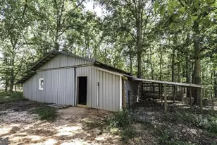 516 Dickerson Rd, Franklin, GA 30217 - Photo 51