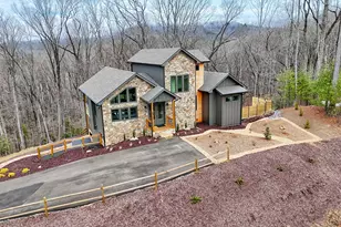804 Settler's Ridge Rd, Ellijay, GA 30540 - Photo 75