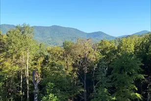 804 Settler's Ridge Rd, Ellijay, GA 30540 - Photo 77