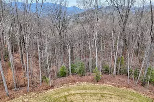 804 Settler's Ridge Rd, Ellijay, GA 30540 - Photo 99