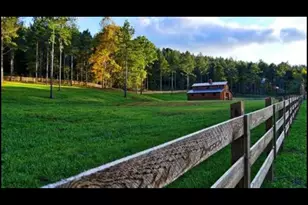 1424 Ridge Pointe Wy, Blairsville, GA 30512 - Photo 105