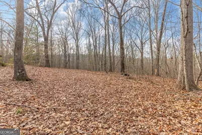 13 Acres Percheron Drive, Dalton, GA 30720 - Photo 1