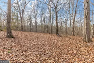 13 Acres Percheron Dr, Dalton, GA 30720 - Photo 1