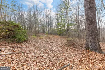 13 Acres Percheron Drive, Dalton, GA 30720 - Photo 7