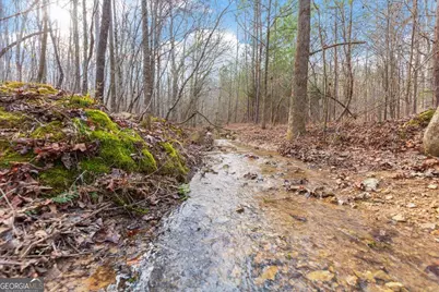 13 Acres Percheron Drive, Dalton, GA 30720 - Photo 13