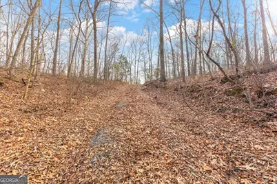 13 Acres Percheron Drive, Dalton, GA 30720 - Photo 3