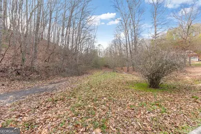 13 Acres Percheron Drive, Dalton, GA 30720 - Photo 17
