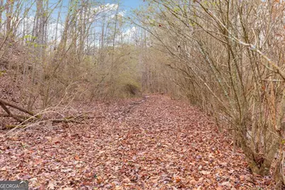 13 Acres Percheron Drive, Dalton, GA 30720 - Photo 15