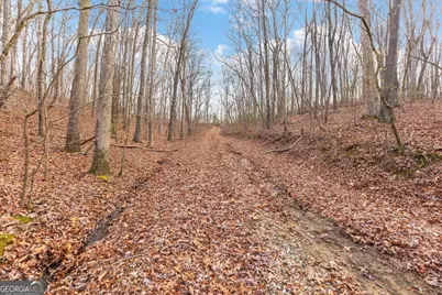 13 Acres Percheron Drive, Dalton, GA 30720 - Photo 11