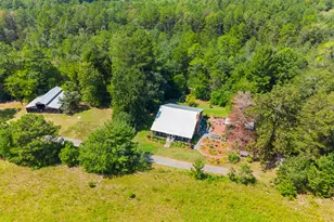 360 Parks Rd, Butler, GA 31006 - Photo 101