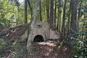360 Parks Rd, Butler, GA 31006 - Photo 11