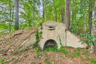 360 Parks Rd, Butler, GA 31006 - Photo 91