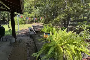 360 Parks Rd, Butler, GA 31006 - Photo 17