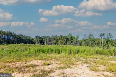 Tract 1 Highway 0036, Woodland, GA 31836 - Photo 7