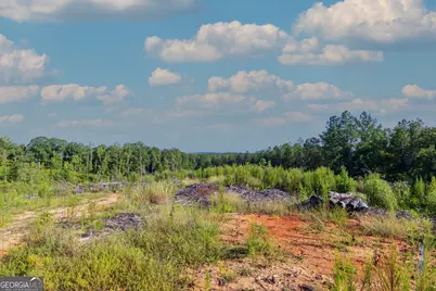Tract 1 Highway 0036, Woodland, GA 31836 - Photo 11