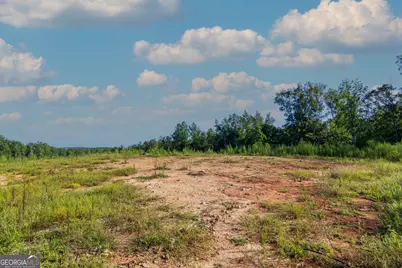 Tract 1 Highway 0036, Woodland, GA 31836 - Photo 5