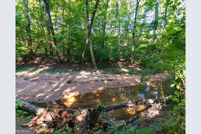 Tract 1 Highway 0036, Woodland, GA 31836 - Photo 19