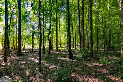 Tract 1 Highway 0036, Woodland, GA 31836 - Photo 31