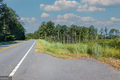 Tract 1 Highway 0036, Woodland, GA 31836 - Photo 13