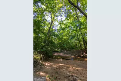 Tract 1 Highway 0036, Woodland, GA 31836 - Photo 25