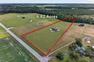 3634 Hwy 121, Blackshear, GA 31516 - Photo 13