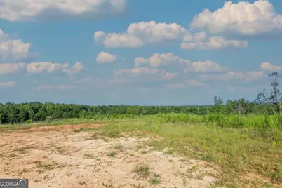 Tract 2 Highway 0036, Woodland, GA 31836 - Photo 5