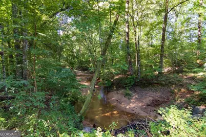 Tract 2 Highway 0036, Woodland, GA 31836 - Photo 11