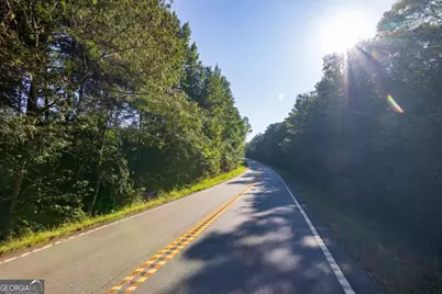 Tract 2 Highway 0036, Woodland, GA 31836 - Photo 1