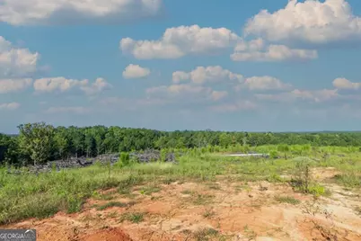 Tract 2 Highway 0036, Woodland, GA 31836 - Photo 9