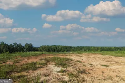 Tract 2 Highway 0036, Woodland, GA 31836 - Photo 7
