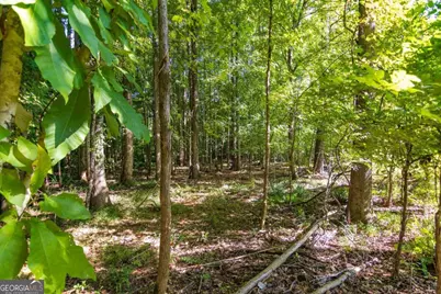 Tract 2 Highway 0036, Woodland, GA 31836 - Photo 25