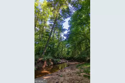 Tract 3 Highway 0036, Woodland, GA 31836 - Photo 23