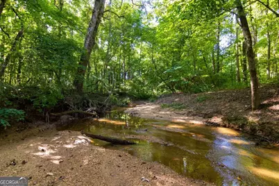 Tract 3 Highway 0036, Woodland, GA 31836 - Photo 19