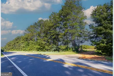 Tract 3 Highway 0036, Woodland, GA 31836 - Photo 9