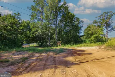 Tract 3 Highway 0036, Woodland, GA 31836 - Photo 7