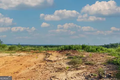 Tract 3 Highway 0036, Woodland, GA 31836 - Photo 1