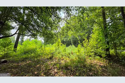 7127 New Forsyth Rd, Macon, GA 31210 - Photo 9
