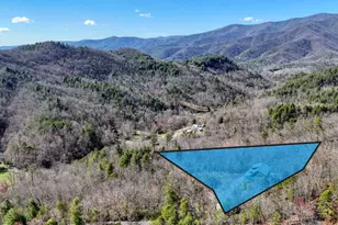 230 Smokin Rdg, Hayesville, NC 28904 - Photo 51