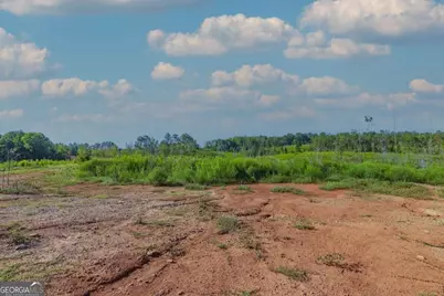 Tract 4 Highway 0036, Woodland, GA 31836 - Photo 5