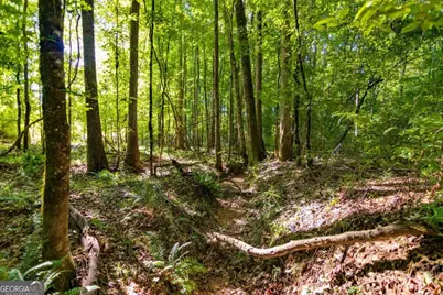 Tract 4 Highway 0036, Woodland, GA 31836 - Photo 21