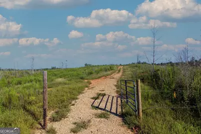 Tract 4 Highway 0036, Woodland, GA 31836 - Photo 3