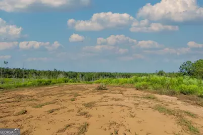 Tract 4 Highway 0036, Woodland, GA 31836 - Photo 7