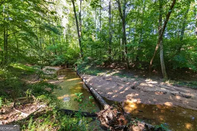Tract 4 Highway 0036, Woodland, GA 31836 - Photo 11