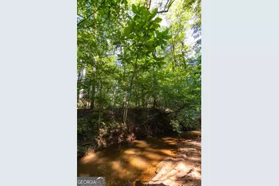 Tract 4 Highway 0036, Woodland, GA 31836 - Photo 17