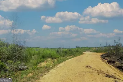 Tract 4 Highway 0036, Woodland, GA 31836 - Photo 1