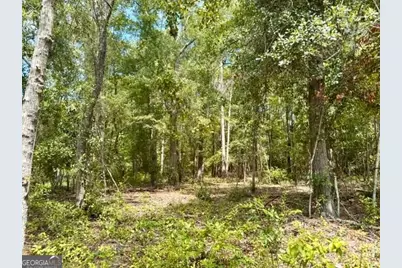 Lot 18 Old Mill Way, Statesboro, GA 30461 - Photo 5