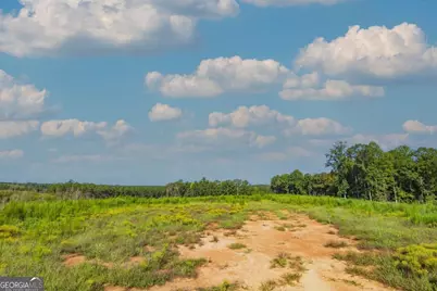 Tract 5 Carlisle Gap Road, Woodland, GA 31836 - Photo 7