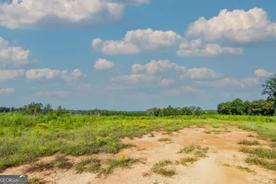 Tract 5 Carlisle Gap Road, Woodland, GA 31836 - Photo 1