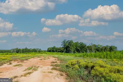 Tract 5 Carlisle Gap Road, Woodland, GA 31836 - Photo 3